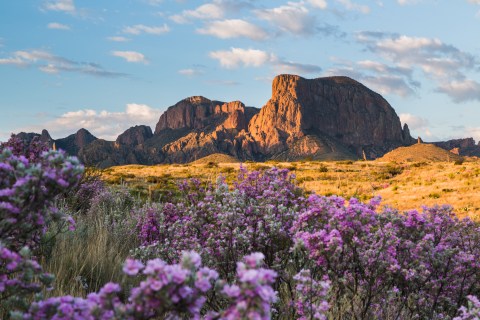 Big Bend National Park: Explore Dramatic Canyons And Impressive Mountain Peaks In Texas