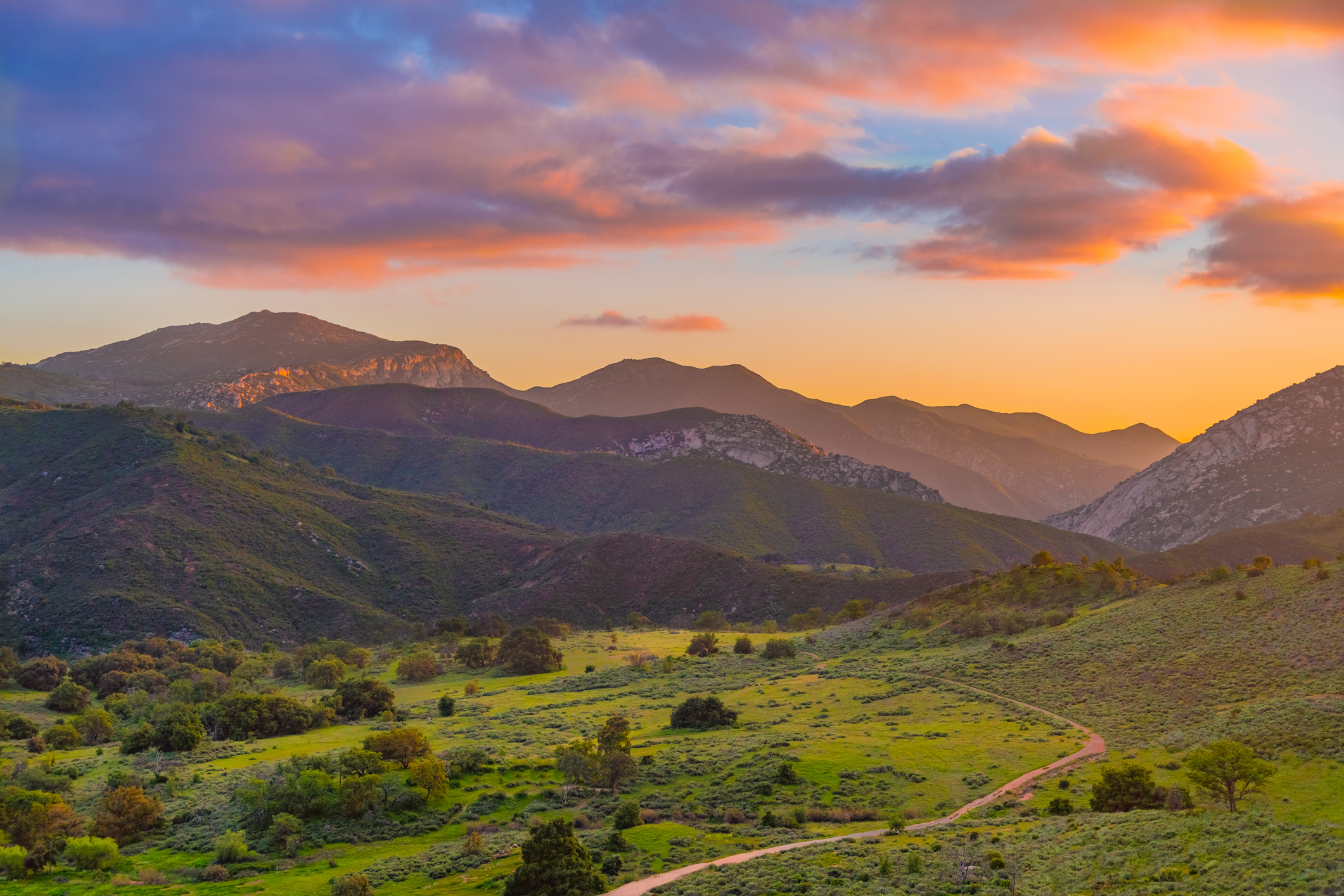 Southern California banner image