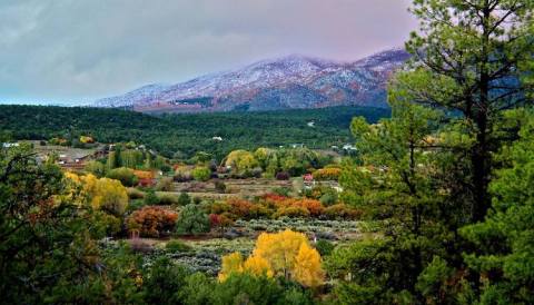 You'll Want To Visit Taos Goji Farm, A Dreamy Goji Berry Farm In New Mexico, This Spring