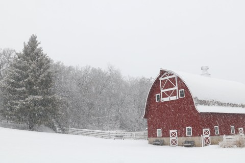 You Can Buy Unique Seeds From This Iowa Farm That Has The Largest Exchange Of Rare Seeds In The Entire Country