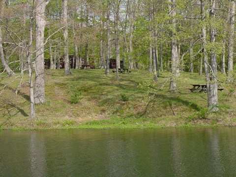 Hike To An Emerald Lagoon On The Easy Scarce O' Fat Trail In Indiana