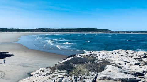 This Hidden Beach Along The Maine Coast Is The Best Place To Find Seashells