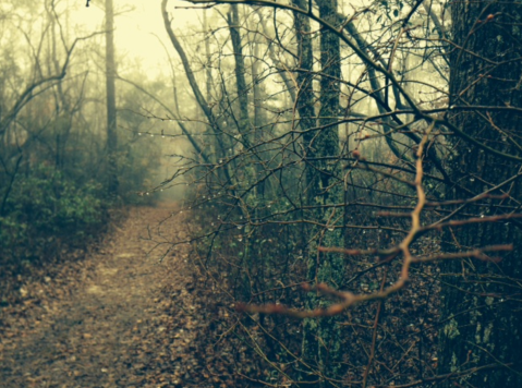 First Landing State Park Might Just Be The Most Haunted Park In Virginia