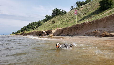 Kruse Park In Michigan Is A Secluded Beach Where Your Four-Legged Friends Are Welcome