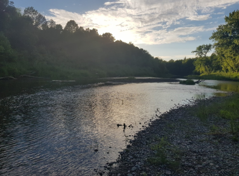 Camp By The River In Beautiful Walhalla, North Dakota At This Picturesque Campground