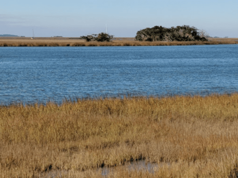 This Hidden Park In Georgia, Gascoigne Bluff, Is 24-Acres Of Seaside Surprises