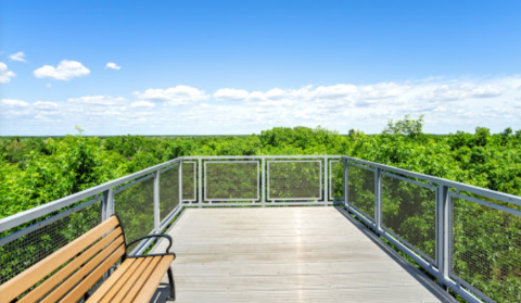 The Magnificent Overlook In Florida That’s Worthy Of A Little Adventure