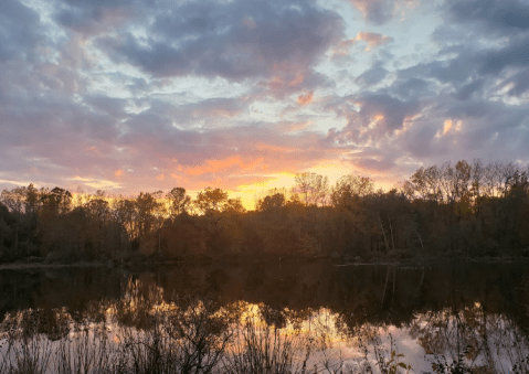 Hike To An Emerald Lagoon On The Easy Lake Isaac Trail In Cleveland