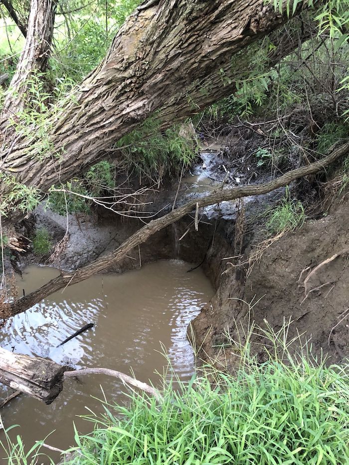 running water on Tranquility Trail in Nebraska