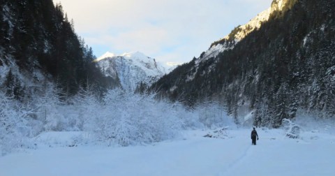 Hike Into The Forest To Find This Hidden Frozen Waterfall In Alaska On The Cathedral Falls Trail