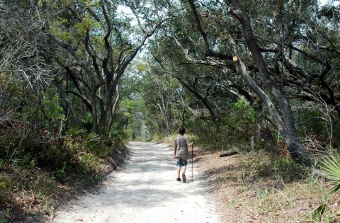 The 7 Beautiful Coastal Hikes In Alabama Are Short And Sweet