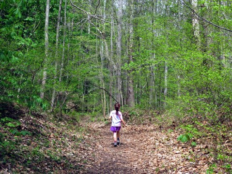 Some Of Spring's Earliest Wildflowers Can Be Found Along This Peaceful Trail In West Virginia