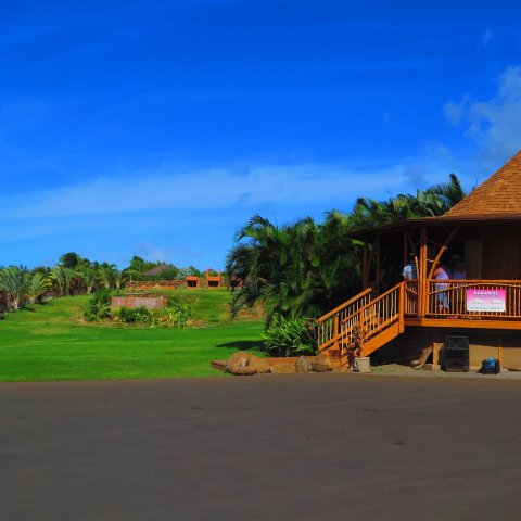 Get Lost In This Beautiful 27-Acre Dragon Fruit Farm In Hawaii