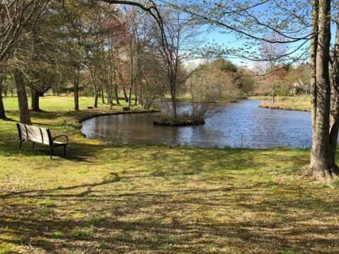 Take An Easy Loop Trail Past Some Of The Prettiest Scenery In North Carolina On the Flat Rock Loop Trail