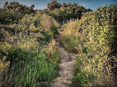 The Ninigret National Wildlife Refuge Trails Will Show You A Completely New Side Of Rhode Island