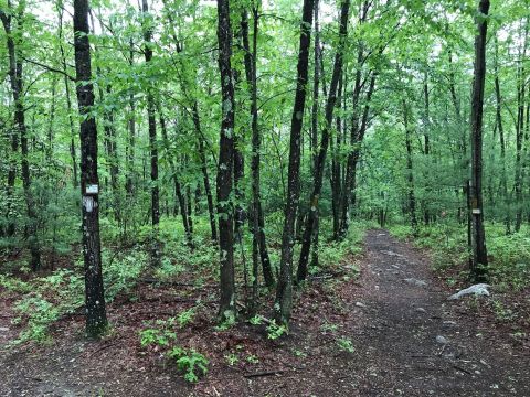 This Rhode Island Hiking Trail Leads To Some Incredible Pieces Of History