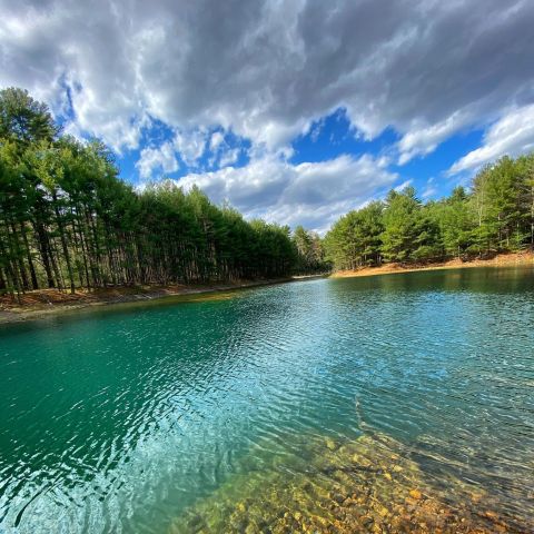 Hike To An Emerald Lagoon On The Easy Raven Rookery Trail In Massachusetts