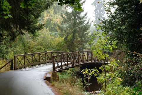 Bike Your Way Into Spring On This Gorgeous Greenway Trail In Washington