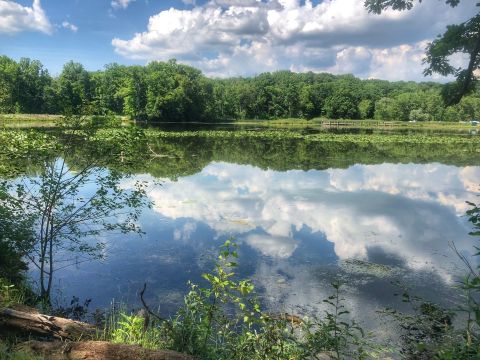 Hike To An Emerald Lake On The Easy Kendall Lake Loop Trail In Ohio