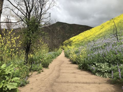 The Escondido Falls Trail In Southern California Is A 3.7-Mile Out-And-Back Hike With A Waterfall Finish