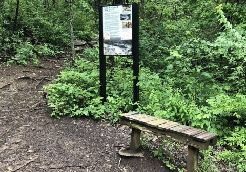 You’ve Never Experienced Anything Like The Epic Old Railroad Bed Trail, An Abandoned Railroad Hike In Alabama