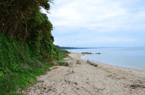 This Hidden Beach Along The Maryland Coast Is The Best Place To Find Seashells And Fossils