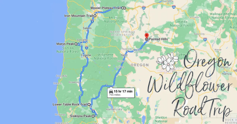 Take This Road Trip To The 7 Most Eye-Popping Wildflower Fields In Oregon