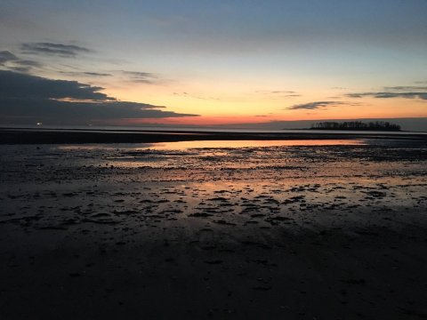 This Hidden Beach Along The Connecticut Coast Is The Best Place To Find Seashells