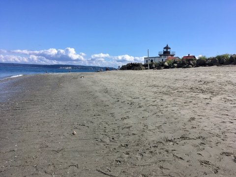 This Hidden Beach Along The Washington Coast Is The Best Place To Find Seashells