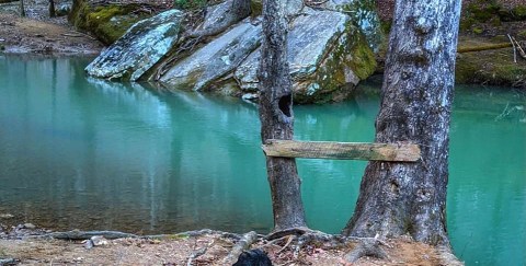 Hike To An Emerald Creek Through The Scenic Turkey Foot Area In Kentucky