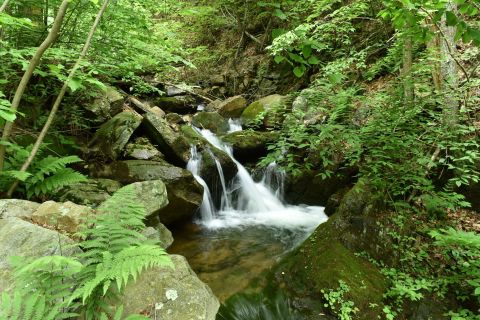 Visit Tom Lowe Trail, Home To Pennsylvania's Beautiful Emerald Waterfall