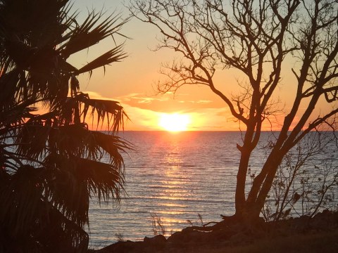 These Louisiana State Parks May Be Tiny, But They've Got Some Mighty Views