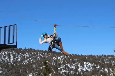 Experience The Southern California Forest From A New Perspective On The Canopy Walk At Action Tours