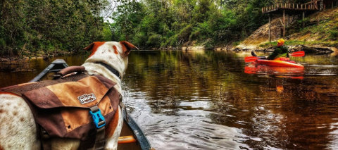 7 Incredible Natural Wonders In Mississippi That You Can Witness For Free