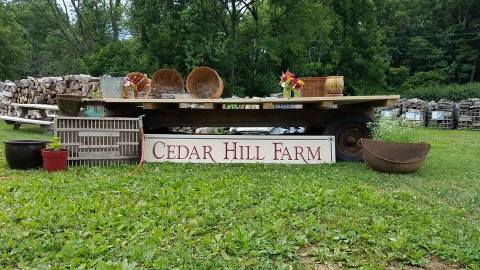 You Can Cut Your Own Flowers At The Festive Cedar Hill Farm In Pennsylvania