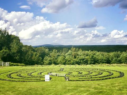 Sip Tea Overlooking Lavender Fields And Horse Pastures At The Farm to Table Tea Event In Massachusetts