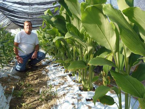 Find Daffodils And Ginseng Alongside Pick-Your-Own Blueberries At This Unique West Virginia Farm