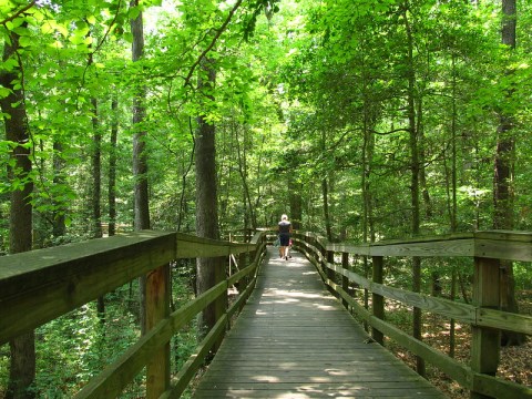 The One National Park In South Carolina That Every True South Carolinian Should Visit At Least Once