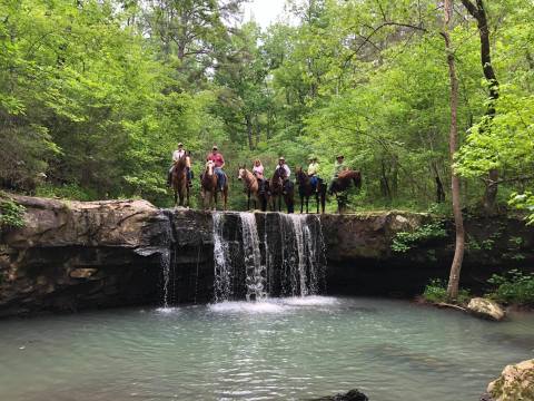 Take A Calm Ride Through The Arkansas Wilds With Boston Mountain Horse Camp