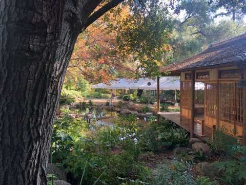 Sip On Jasmine Tea And Relax By The Koi Pond At This Peaceful Japanese Tea Garden In Southern California