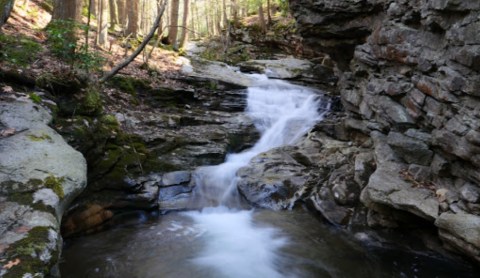 7 Incredible Natural Wonders In Pennsylvania That You Can Witness For Free