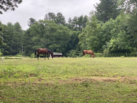 Follow Kettlehole Trail In Massachussetts Past Beautiful Meadows And Horse Pastures