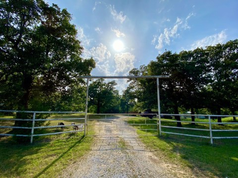 For Just $39 A Night, You Can Stay In Sunny’s Hut At An Airbnb In Oklahoma