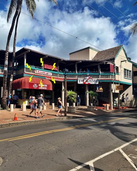 Hawaii's Cool Cat Cafe Serves Alcoholic Milkshakes And Burgers Galore