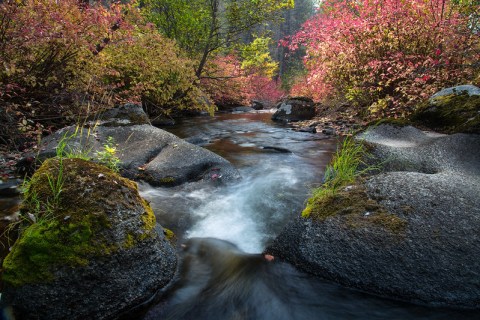 5 Incredible Natural Wonders In Montana That You Can Witness For Free