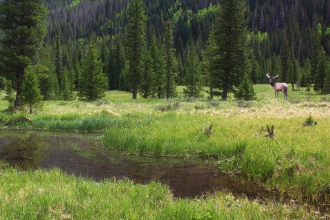 The 6 National Parks In Colorado That Every True Coloradan Should Visit At Least Once