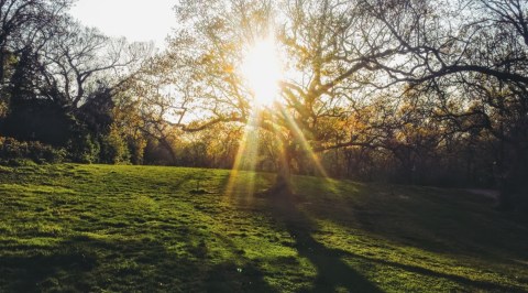 Try Your Hand At A Funky Disc Golf Course In Kansas's Rosedale Park