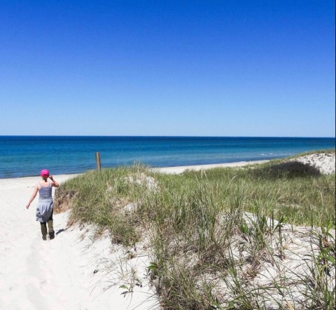 Follow A Sandy Path To The Waterfront When You Visit Sandy Neck Beach In Massachusetts