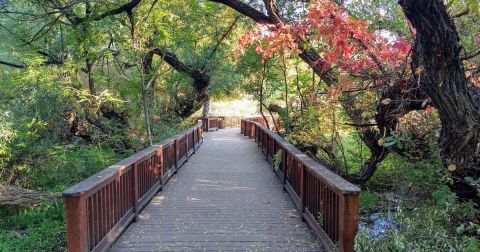 Rancho San Rafael Park In Nevada Has It All With A Garden, Museum, And Endless Activities