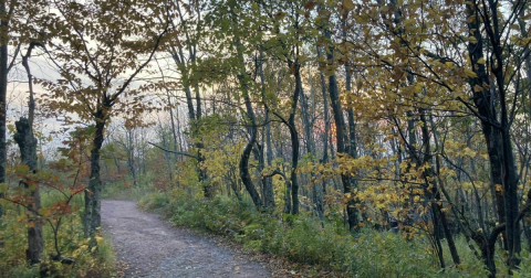 Explore Hundreds Of Acres Of Unparalleled Views Of Mountains On The Scenic Hike In New York